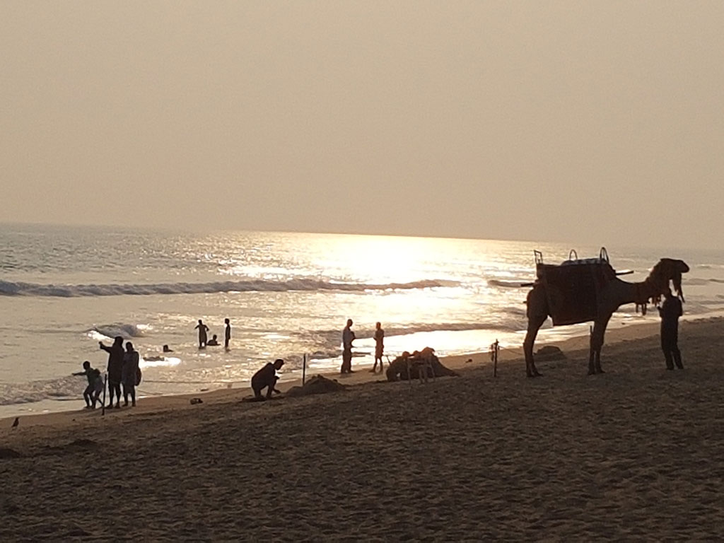 Puri sea beach, home to some of the rare conch shells